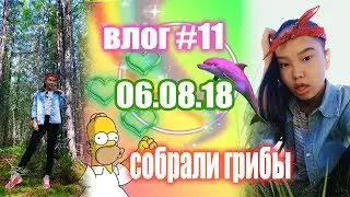 Влог♡11 Собрали грибы и ягоды