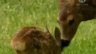Неизведанная Европа  Весна