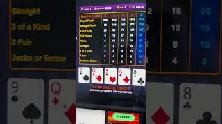 I Max Bet playing Video Poker #Poker #Gambling #VideoPoker