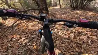 MTB TRAIL PINERA 2/2