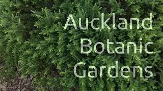 Auckland Botanic Gardens