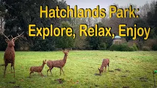 Vlog 203 - Hatchlands Park: where nature meets heritage