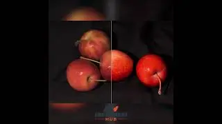 Camera light