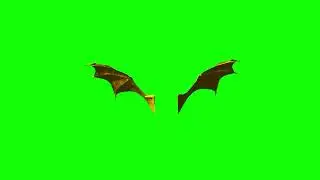 no copyright, Green screen video