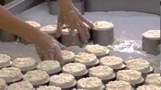 Visita de estudo Chefs' Academy | Clube de Produtores - Azeitão