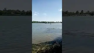 Станица Александровская.