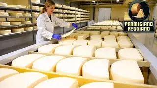 How Parmesan Cheese Is Made by Hand | Witnessing the Birth of the Perfect Cheese.