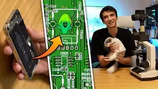 iPhone Devresindeki Gizli Resimlere Mikroskopla Baktım!