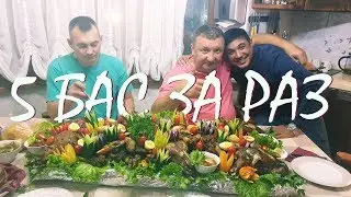 5 БАРАНЬИХ ГОЛОВ и ТОННА МЯСА НА КИЗЯКЕ! EXOTIC DISH