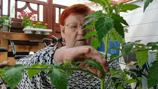 ВЫХОДНЫЕ ПРОЛЕТЕЛИ НЕЗАМЕТНО! КАК ВСЕГДА, ОДНОГО ДНЯ НЕ ХВАТИЛО! | 