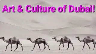 Heritage & Culture of Dubai, UAE : Desert Safari Show #planmystudy