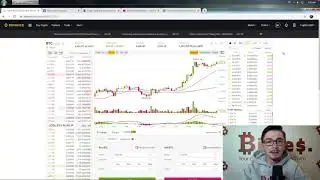 Bitles_Video review of the BITLES trading account at Binance