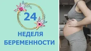 24 Weeks Pregnant: Fetal Development and Mom's Sensations