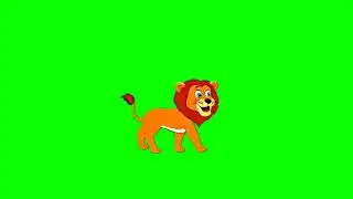 Lion green screen no copyright free video/Lion green screen video