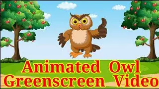 Talking owl 