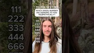 333 Telepathy Test