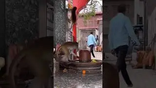 Vrindavan!! Radhekrishna!! Radhe Radhe 🙏