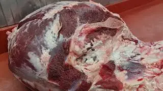 WE ARE STRIPPING BEEF LEGS...