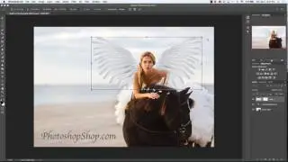Chapter 38 How to Resize and Rotate Layers in Photoshop 2017