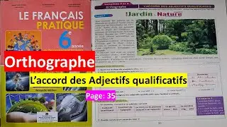 Orthographe: l'accord des adjectifs qualificatifs page 35 6ème année primaire le français pratique