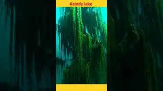 Mysterious  lake Kaindy | kazakhstan lake #kazakhstan #kainday #mystery #lake #fact #amazingfact