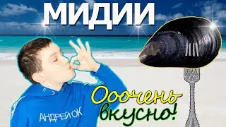 Мидии под сырным соусом