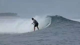 MACARODYS