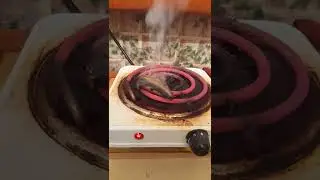 Мы приносим Богу Яхве извинение ,есле мы что-то не так сделали но мы от чистых побуждений .Пр.же.2ч!