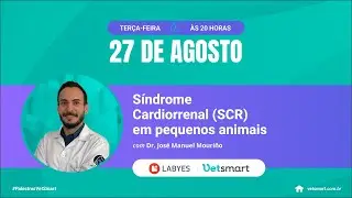 Síndrome Cardiorrenal (SCR) em pequenos animais