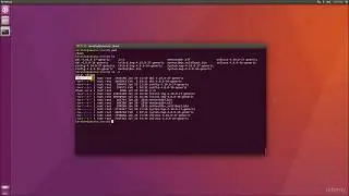 Linux Command line Interface and BASH Scripting - Using the  ls -l command