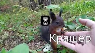 Крашер в реальной жизни (НЕ ФОТОЖОП)