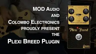 Colombo Plexi Breed Plugin - Intro