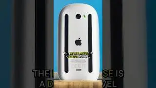 Is the Apple Magic Mouse Worth the Pain?