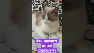 Как научить детей 