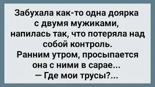 Проснулась в Сарае с Двумя Мужиками! Сборник Свежих Анекдотов! Юмор!