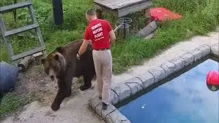 Андрей принёс Мансуру тульский пряник