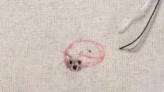 Tiny Hedgehog Embroidery Process Time Lapse