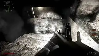 The 