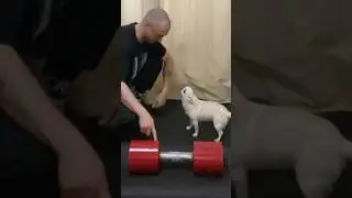 Делай качественно и будь что будет! 