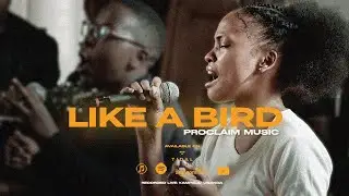 Like A Bird | Proclaim Music