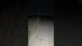 Se me apareció un fantasma su llanto me dio mucho miedo...
