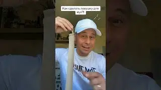 How to make a fly trap yourself?! 