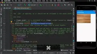 33 - Displaying Images