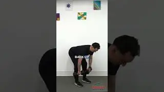 Powerful Lower Body Workout To Strengthen Your Legs