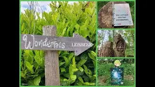 Lebbeke I het Wonderbos