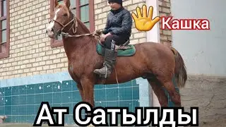 ЧЫКТЫ Сатылды