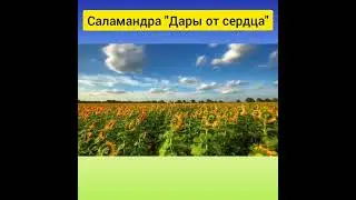 Мои любимые стихи