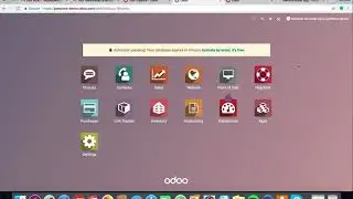 Odoo for a Pet Store