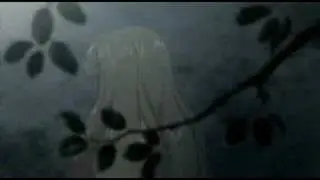 Suikoden II Withered Earth