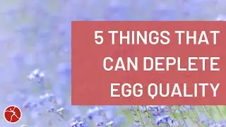 5 Factors That Deplete Egg Quality in Women